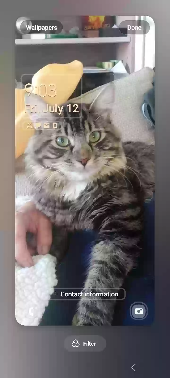 /lostandfound/images/lnfpets/original/177693_7222_Screenshot_20240712_090302_Wallpaper and style.webp